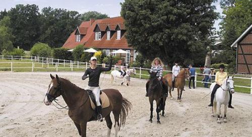 Heidehotel Gut Landliebe Hermannsburg Bagian luar foto
