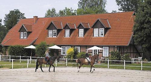 Heidehotel Gut Landliebe Hermannsburg Bagian luar foto